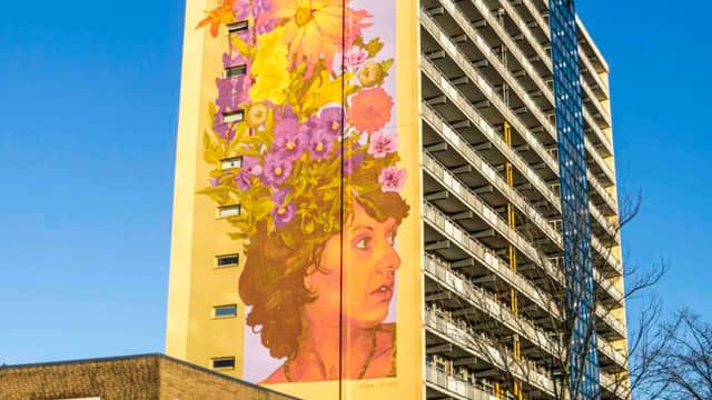 Untitled (woman's profile with flowers in hair), photo from the city's open data