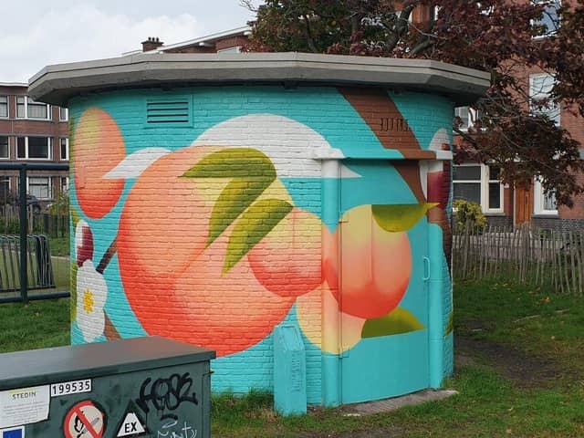 Untitled (flowers and leaves on turquoise background), photo from the city's open data