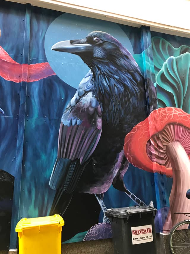 Untitled (black bird with moon and jellyfish), photo from the city's open data