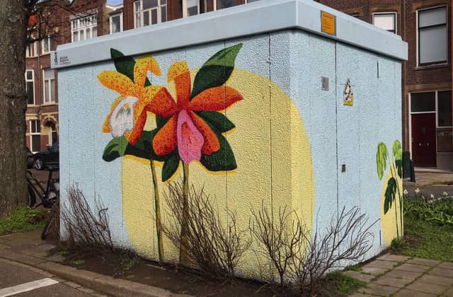 Untitled (red and yellow flowers with green leaves), photo from the city's open data