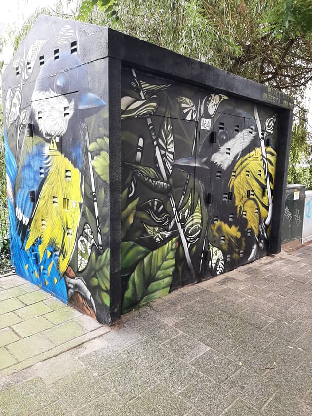 Untitled (birds with yellow and blue feathers), photo from the city's open data