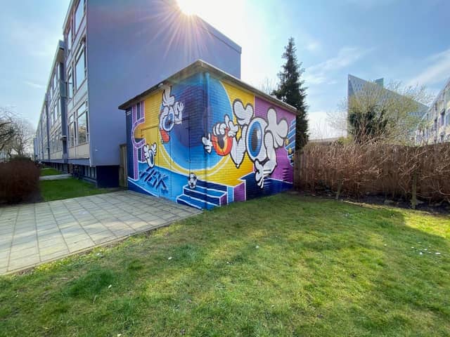 Untitled (cartoon character with large smile), photo from the city's open data
