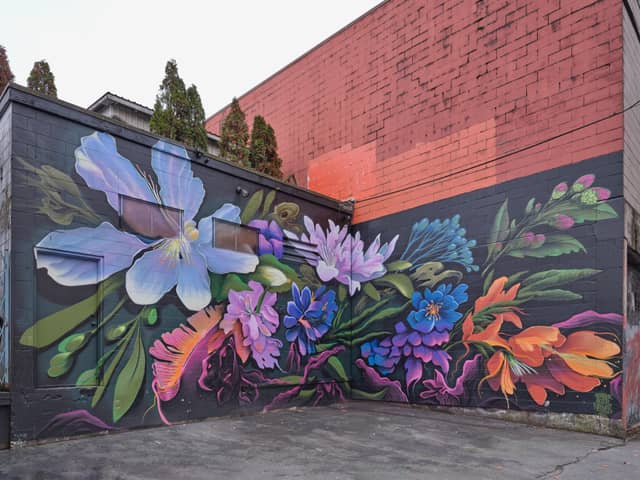 Untitled (vibrant flowers on dark background), photo from the city's open data