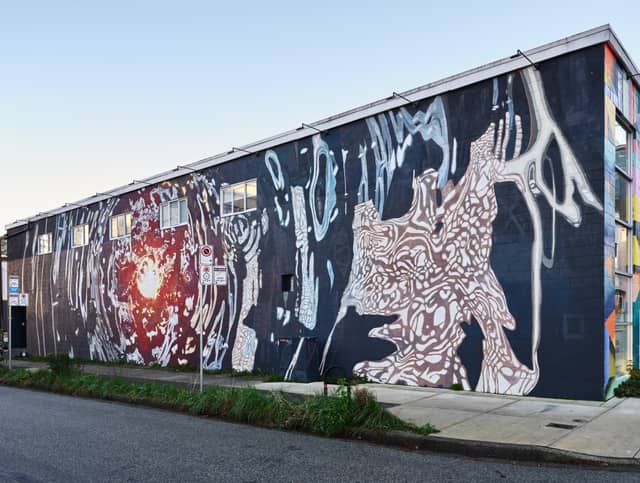 The Obsidian Void Wakes, photo from the city's open data