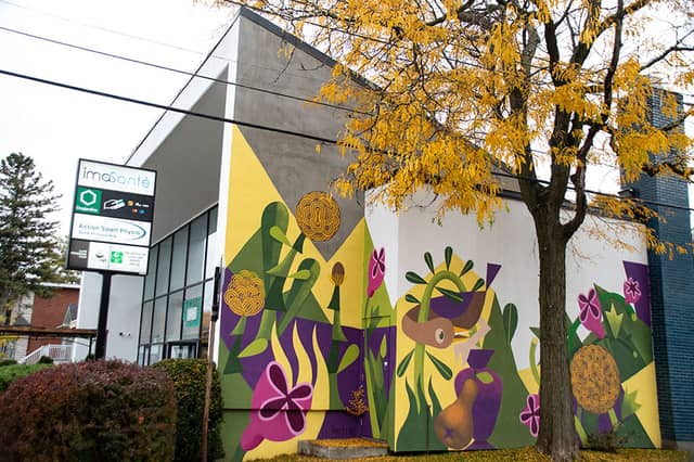 Untitled (flowers and plants with geometric patterns), photo from the city's open data