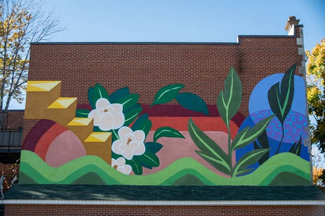Untitled (white flowers with green leaves and plants), photo from the city's open data