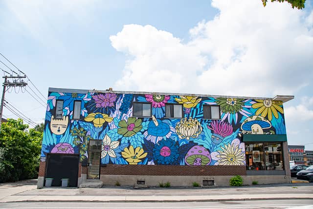 Untitled (flowers and faces in blue and pink), photo from the city's open data