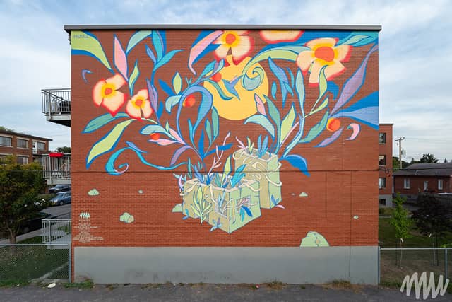 Untitled (flowers and leaves in a box), photo from the city's open data
