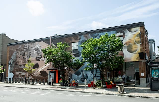 Untitled (woman playing violin with musical notes), photo from the city's open data
