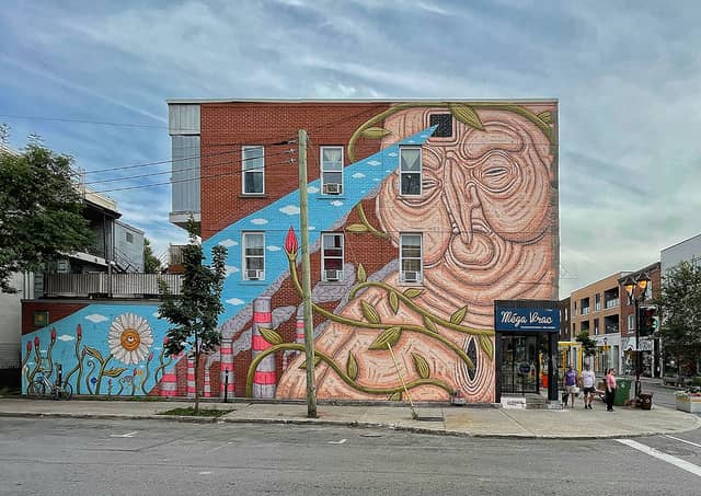 Untitled (face with flowing hair and flowers), photo from the city's open data