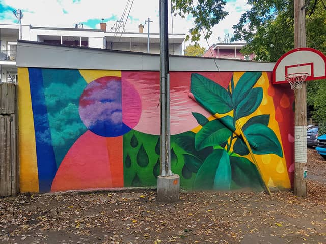 Untitled (abstract face and green plant leaves), photo from the city's open data