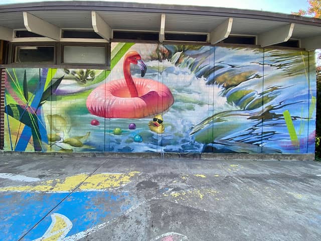 Untitled (flamingo floating in water with fish), photo from the city's open data