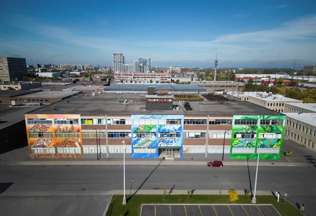 Untitled (nature scenes with plants and water), photo from the city's open data