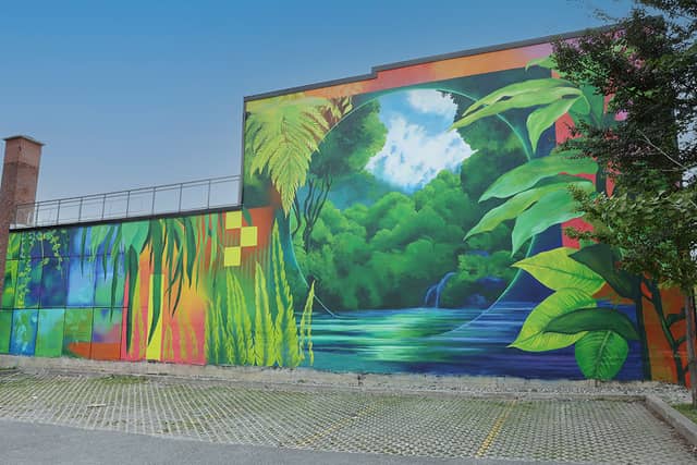 Untitled (tropical forest with river and vegetation), photo from the city's open data