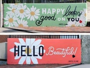 Untitled (daisies with positive text messages), photo from the city's open data