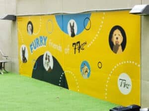 Untitled (portraits of people on yellow background), photo from the city's open data