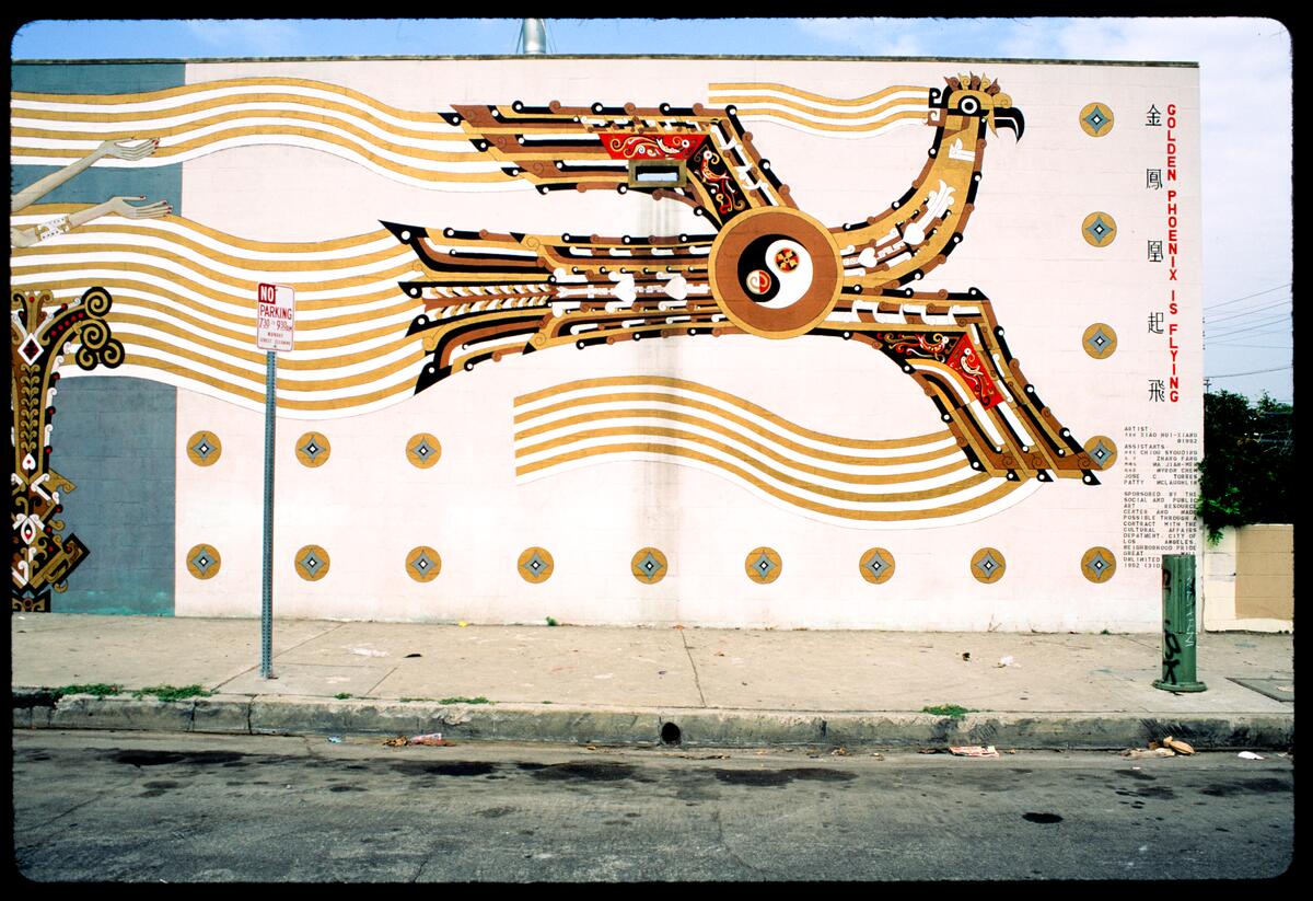 Golden Phoenix is Flying, photographed by Robin Dunitz
