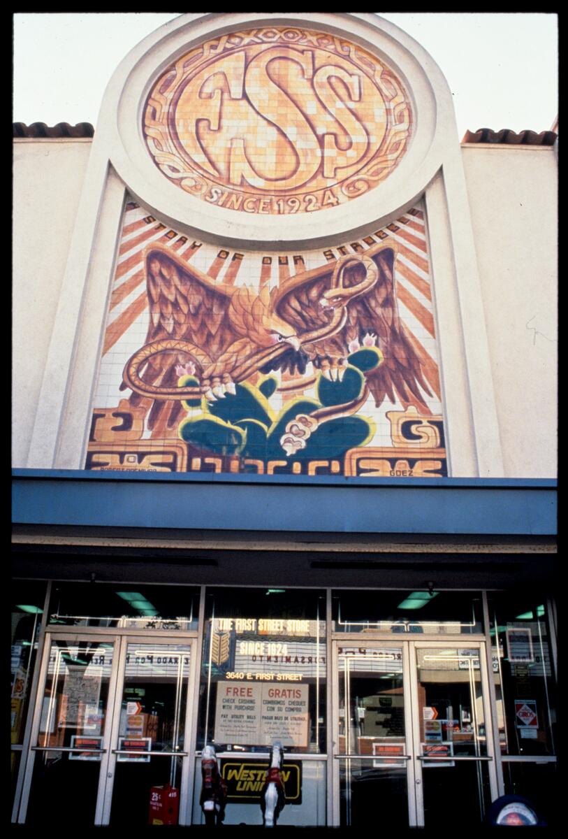 A Story of Our Struggle ( A History of Our Struggle), photographed by Robin Dunitz