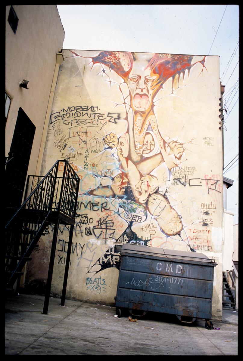 The Wall that Cracked Open, photographed by Robin Dunitz
