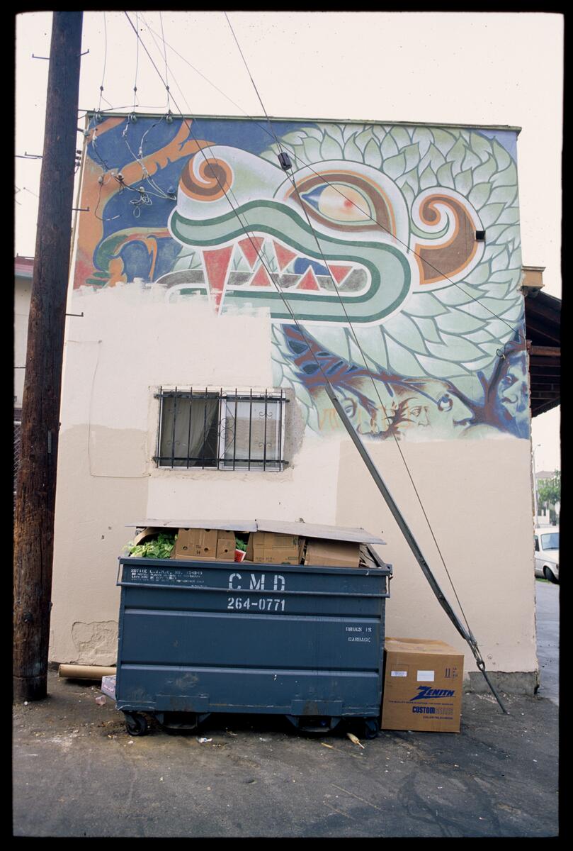 Quetzalcoatl-Plumed Serpent, photographed by Robin Dunitz