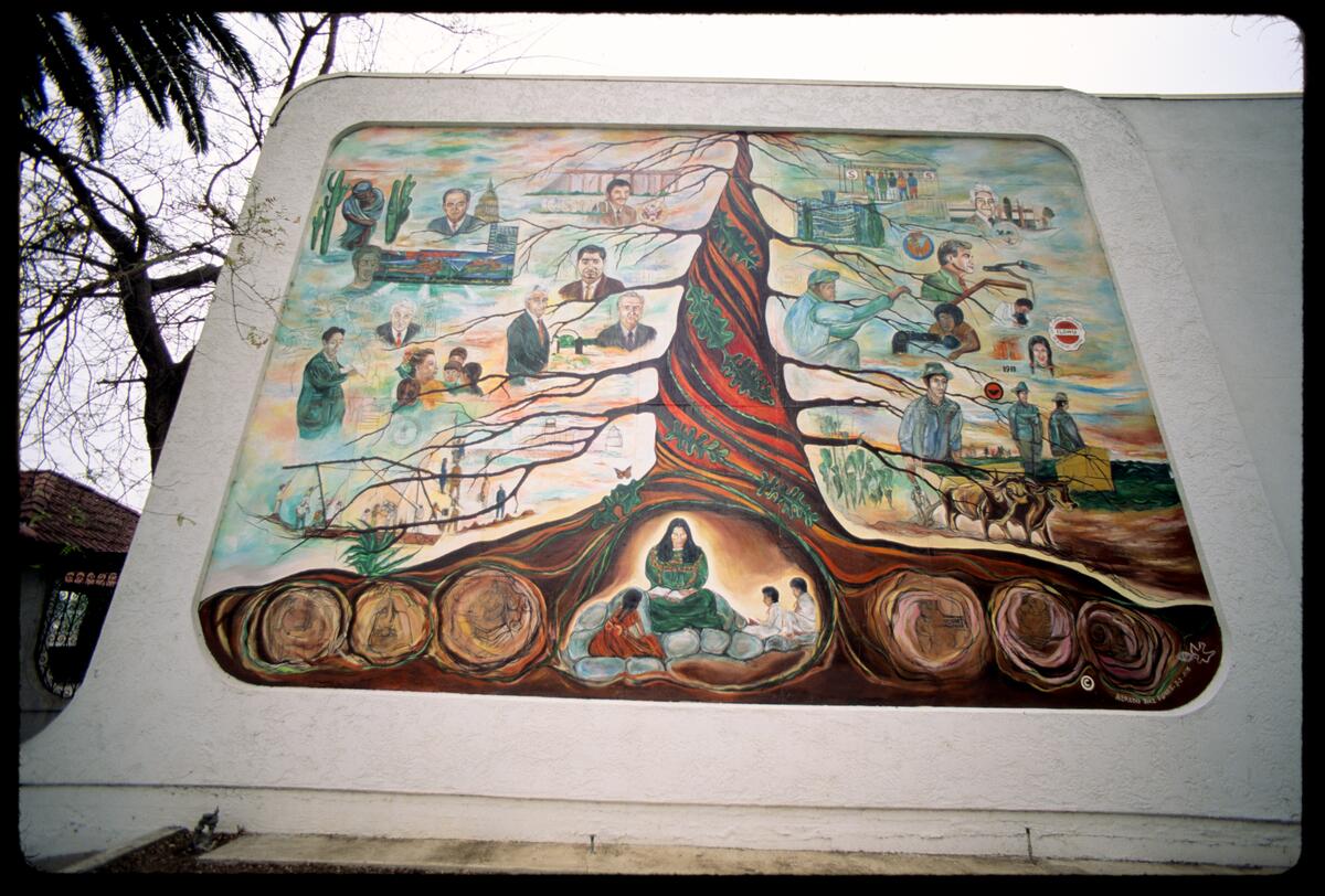 The Learning Tree, photographed by Robin Dunitz