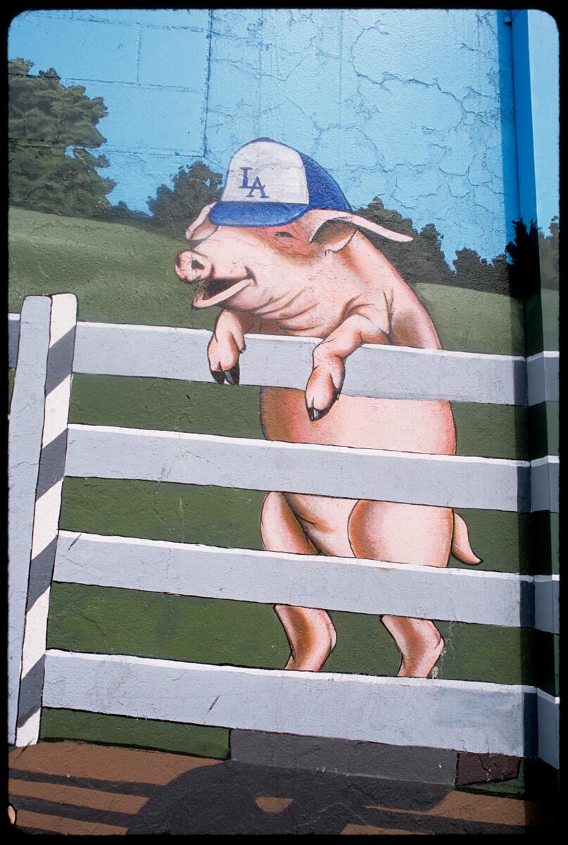Hog Heaven (Pig Paradise), photographed by Robin Dunitz