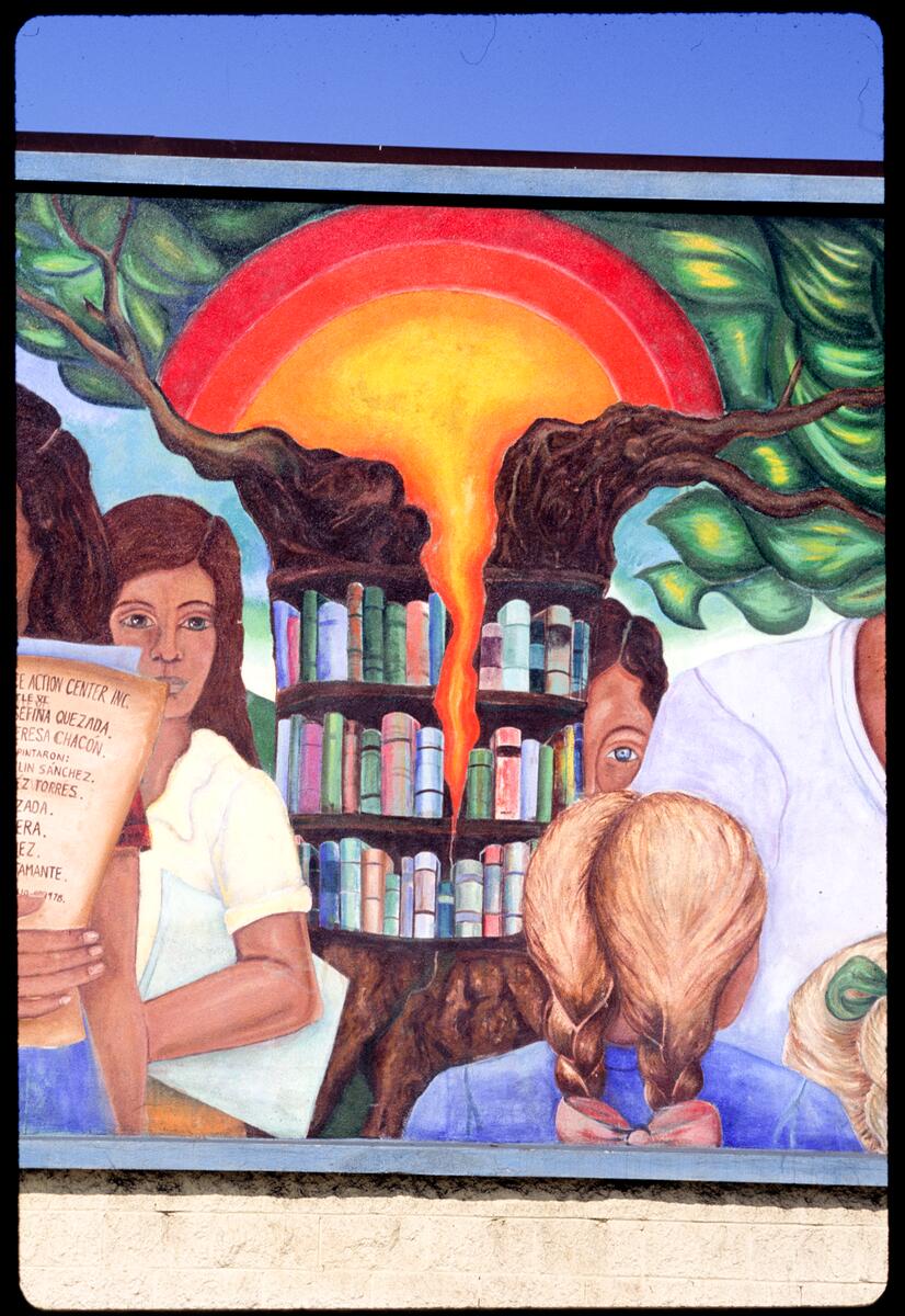 Tree of Knowledge, photographed by Robin Dunitz