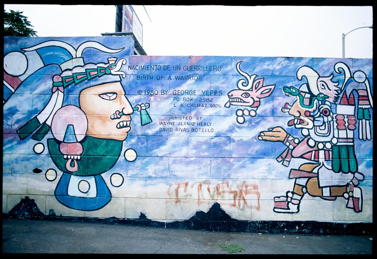 Nacimiento de un Guerrillero (Birth of a Warrior), photographed by Robin Dunitz