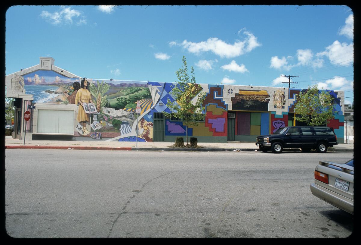 Palma, photographed by Robin Dunitz