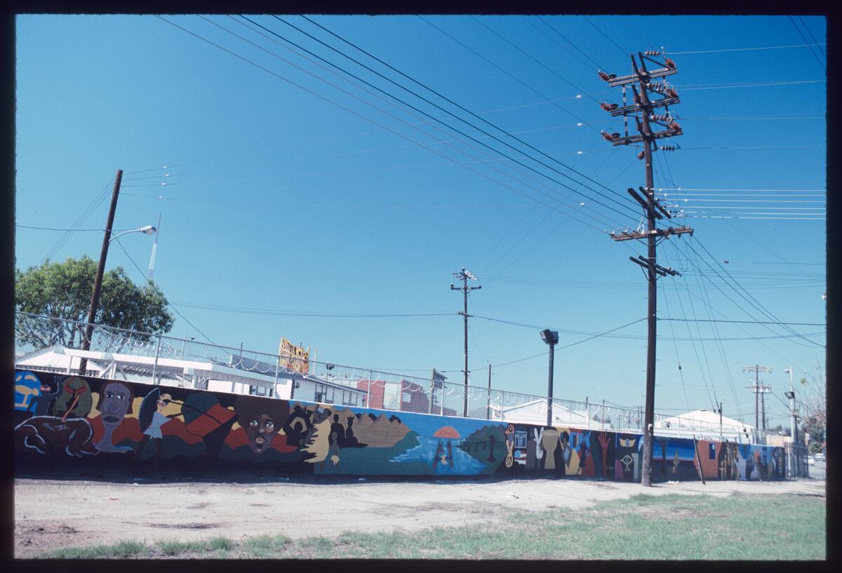 Heritage, photographed by Robin Dunitz