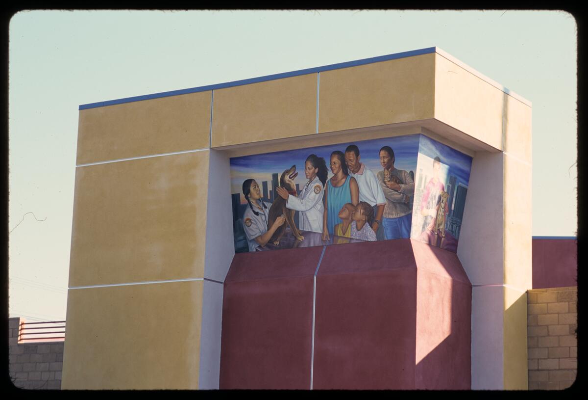 Untitled, photographed by Robin Dunitz