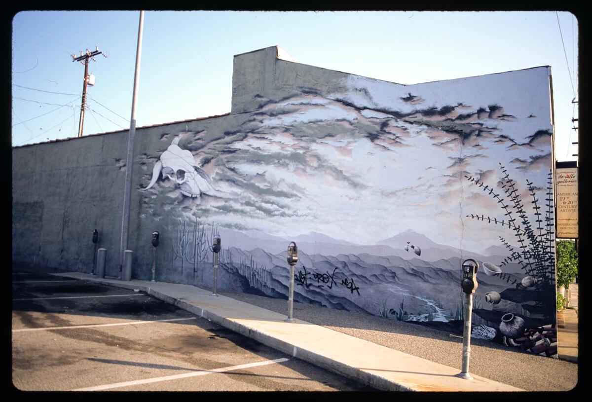 Homage to Georgia O'Keeffe, photographed by Robin Dunitz