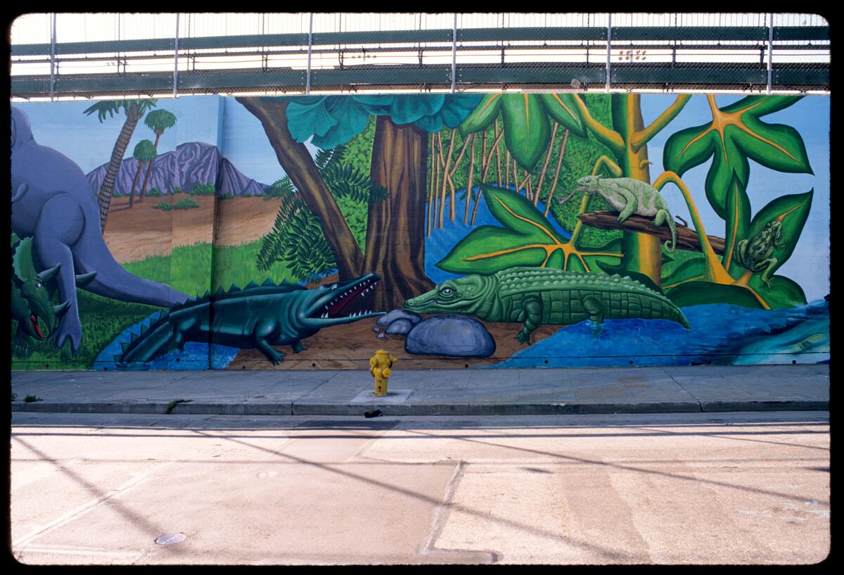 Earth Memories, photographed by Robin Dunitz