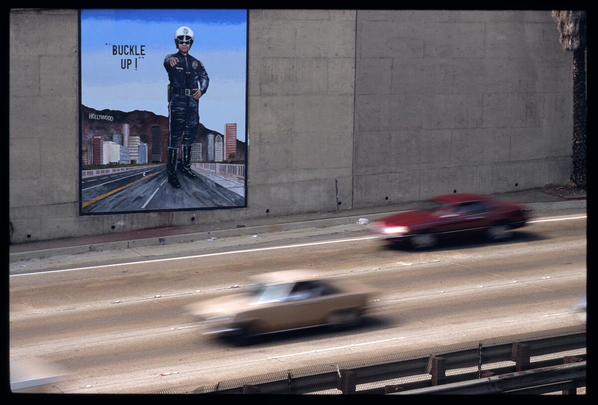 Buckle Up, photographed by Robin Dunitz