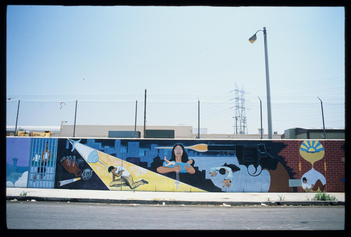 Dogtown, photographed by Robin Dunitz