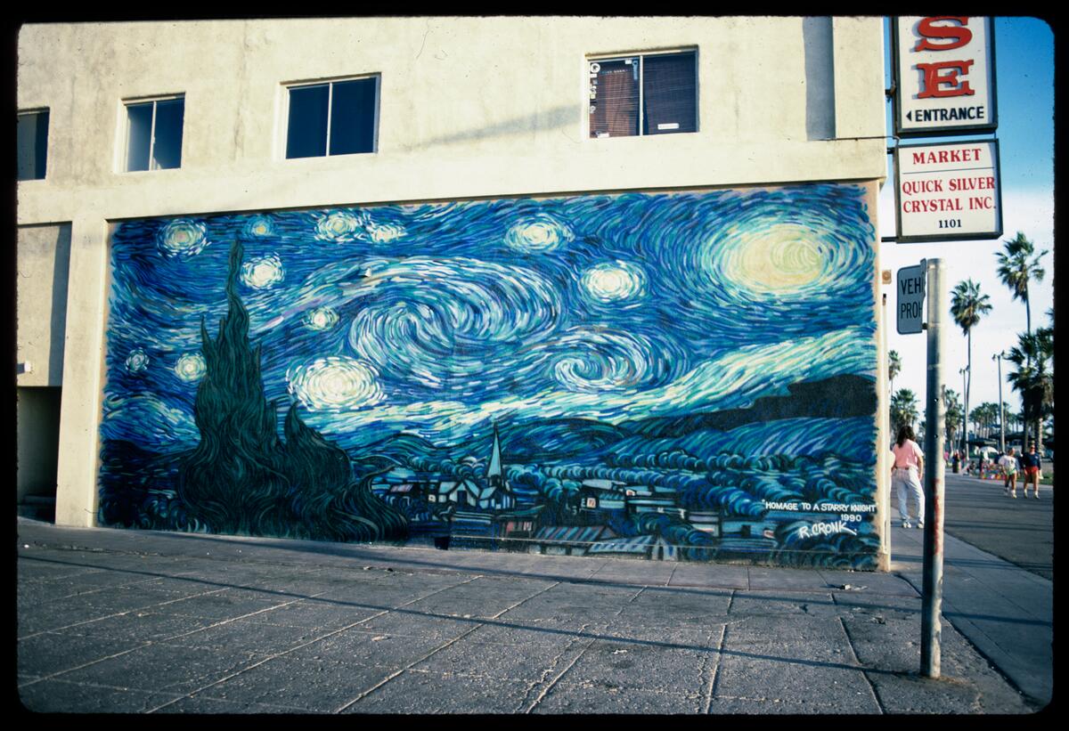 Homage to a Starry Knight, photographed by Robin Dunitz