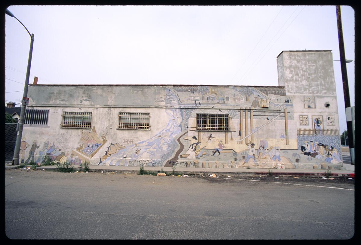 The People of Venice vs. the Developers/Jaya Mural, photographed by Robin Dunitz
